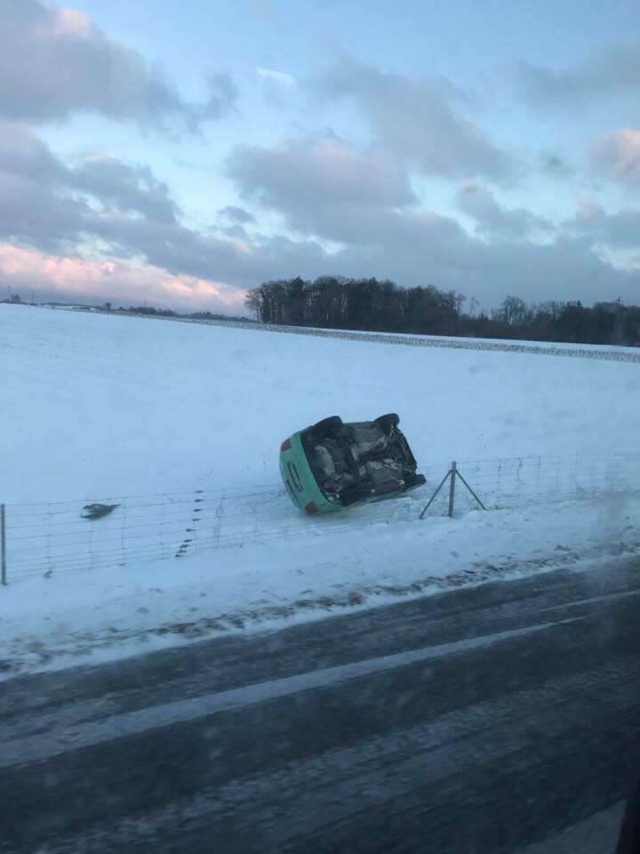 16117758_1327032727340437_1204293128_n