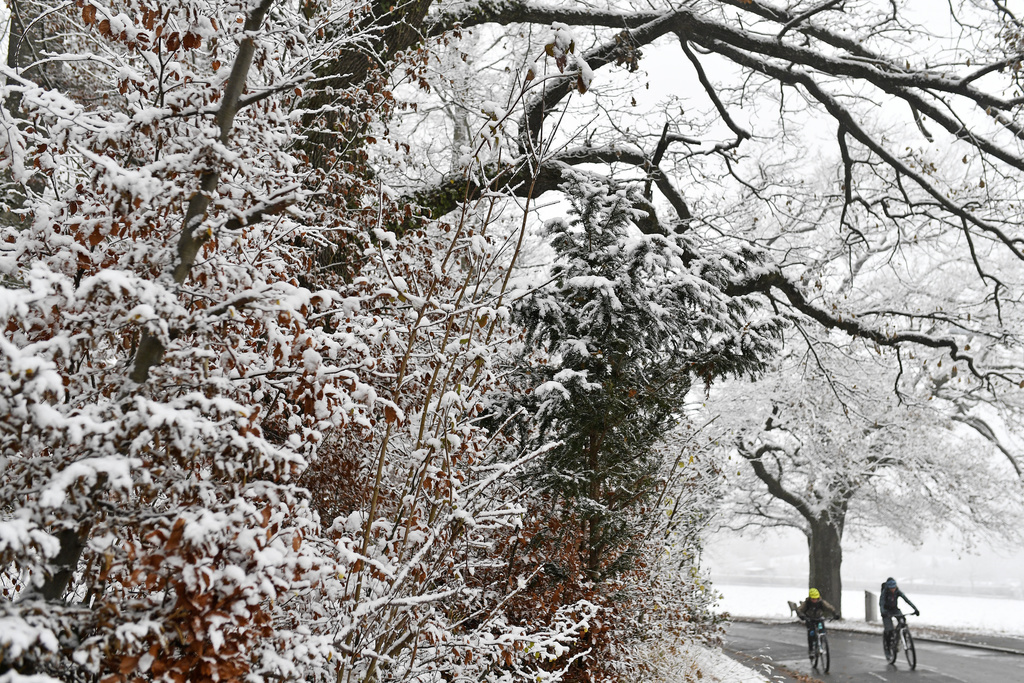 Fjollat e para të borës arrijnë në ultësirën zvicerane