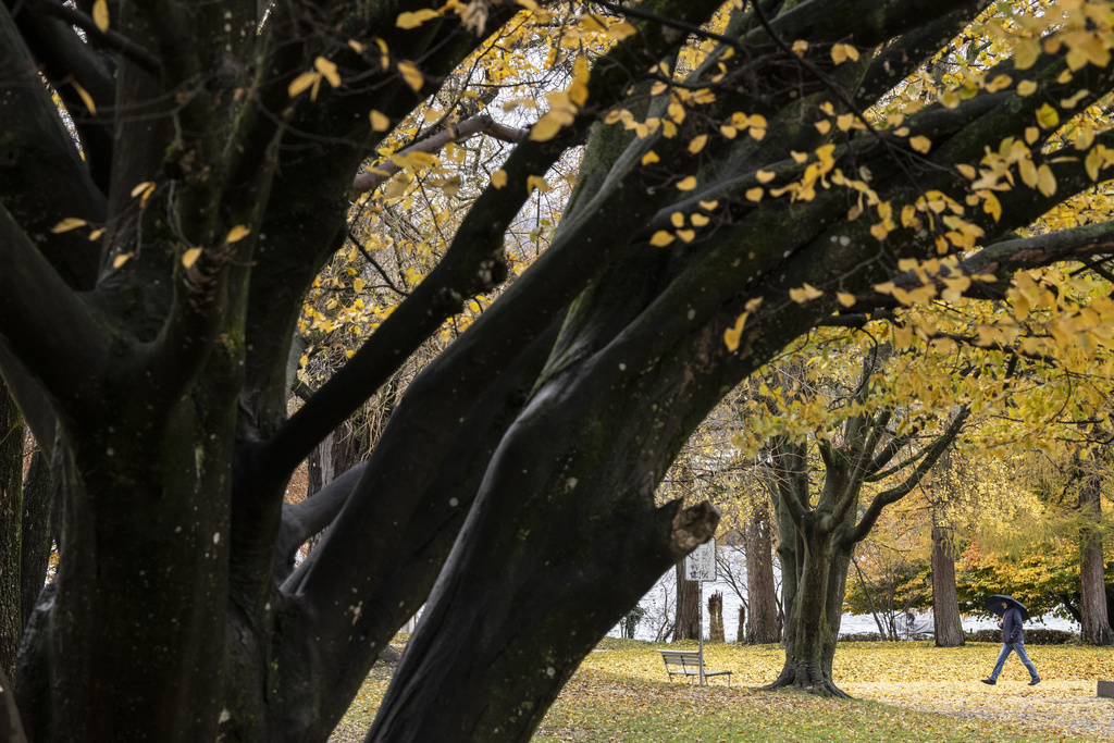Temperaturat e vjeshtës në Zvicër brenda kufijve normalë