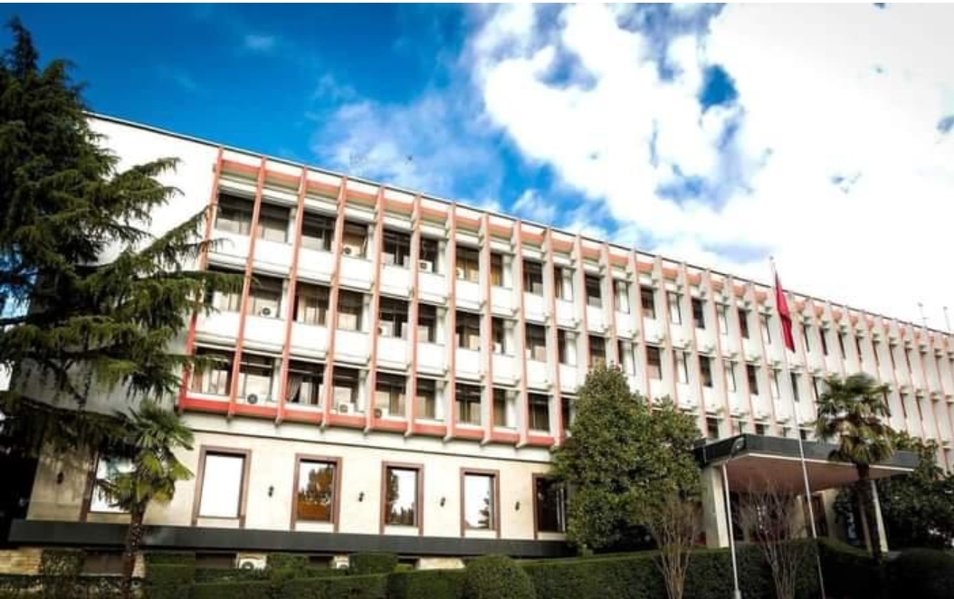 15 vjeçarja me prejardhje nga Kosova u raportua e zhdukur në Francë, ambasada e Shqipërisë njofton rikthimin në familje
