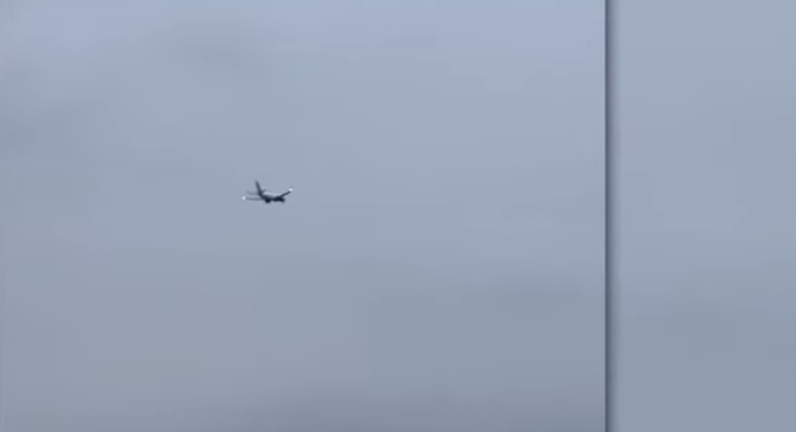 Lepuri futet në motor të aeroplanit, bëhet ulje emergjente