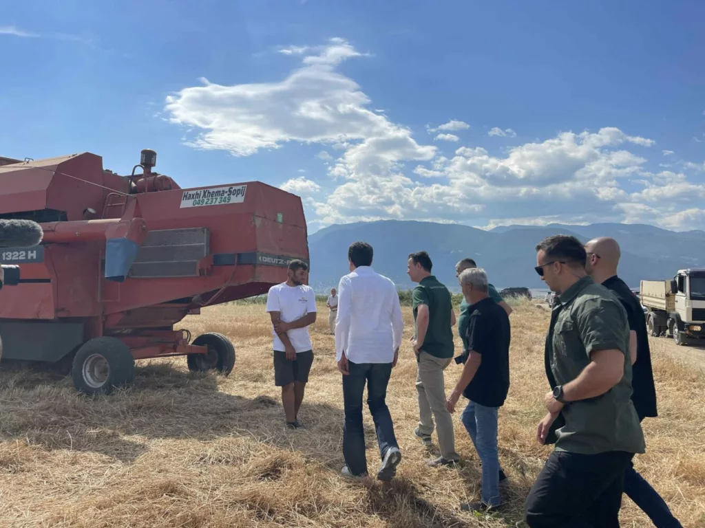 Kurti e quan rekord të ri: Sivjet kemi mbi 21 mijë hektarë më shumë të mbjella me grurë