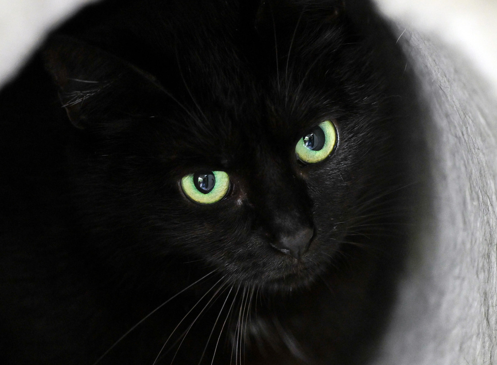 E premte  data 13  Shtatë besëtytni të çuditshme zvicerane që duhet t i dini