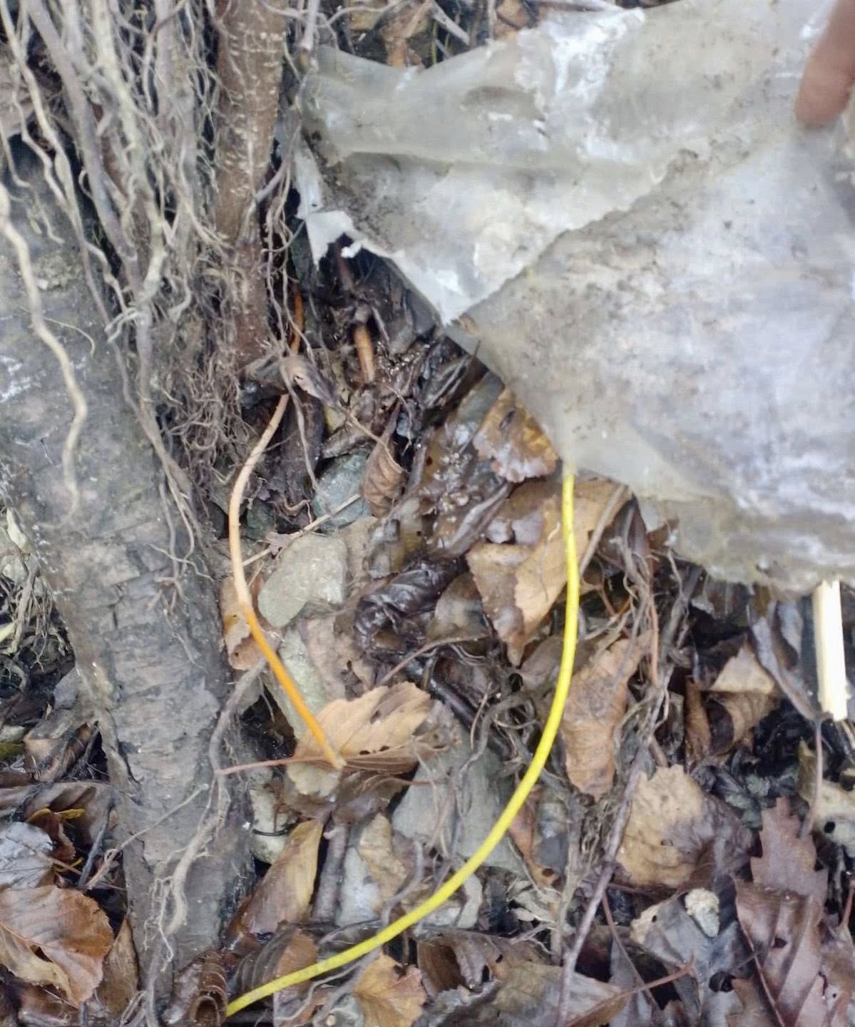 Policia e Kosovës ka gjetur dhjetë detonatorë ndezës me kabllo në Leposaviq