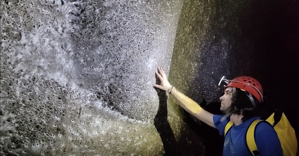 Në kufirin shqiptaro grek zbulohet rrjeta e merimangave më e madhe në botë