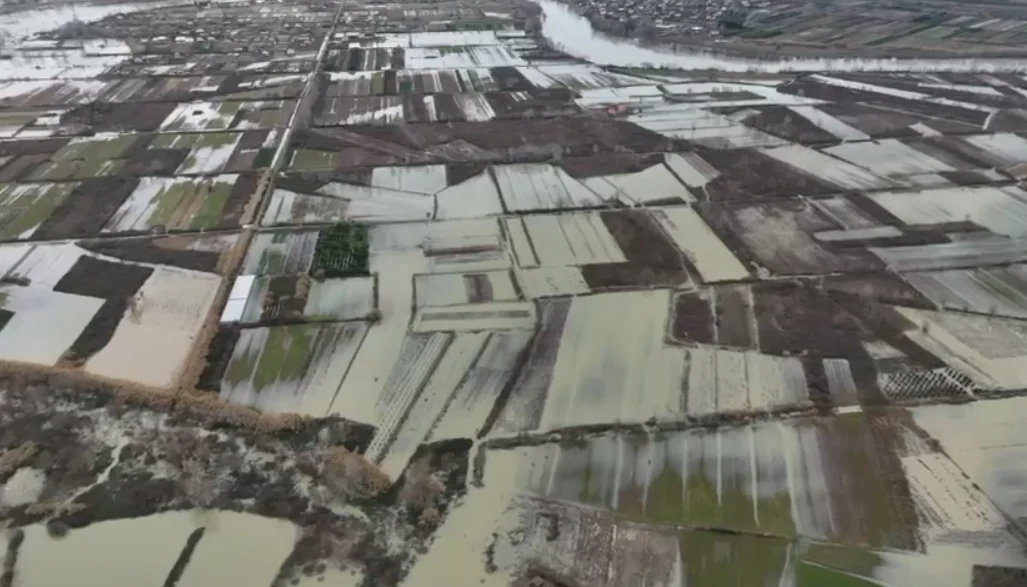 Situata kritike nga përmbytjet në Shqipëri