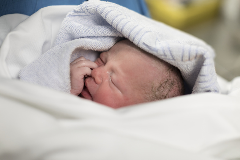 Rënie e lindjeve në Evropë  BE me vetëm 3 55 milionë foshnja në vitin 2024