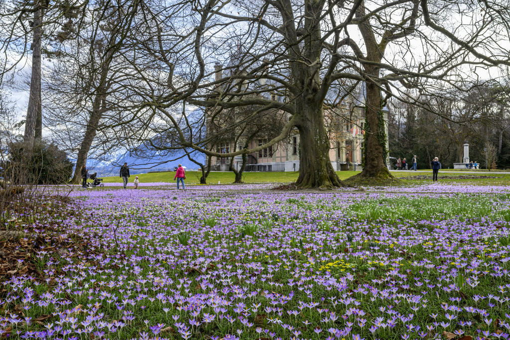 A ka ardhur pranvera në Zvicër 