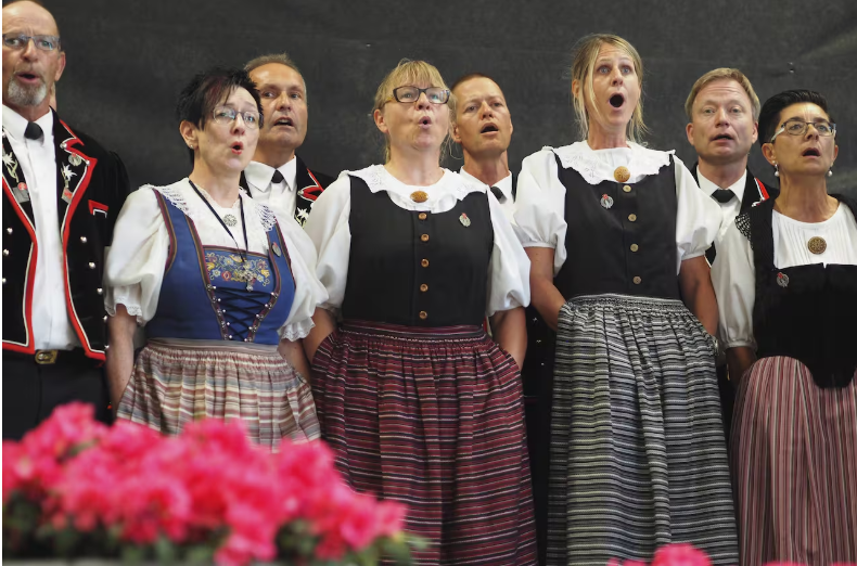 Deputeti i SVP kërkon që jodelimi të përfshihet si program universitar