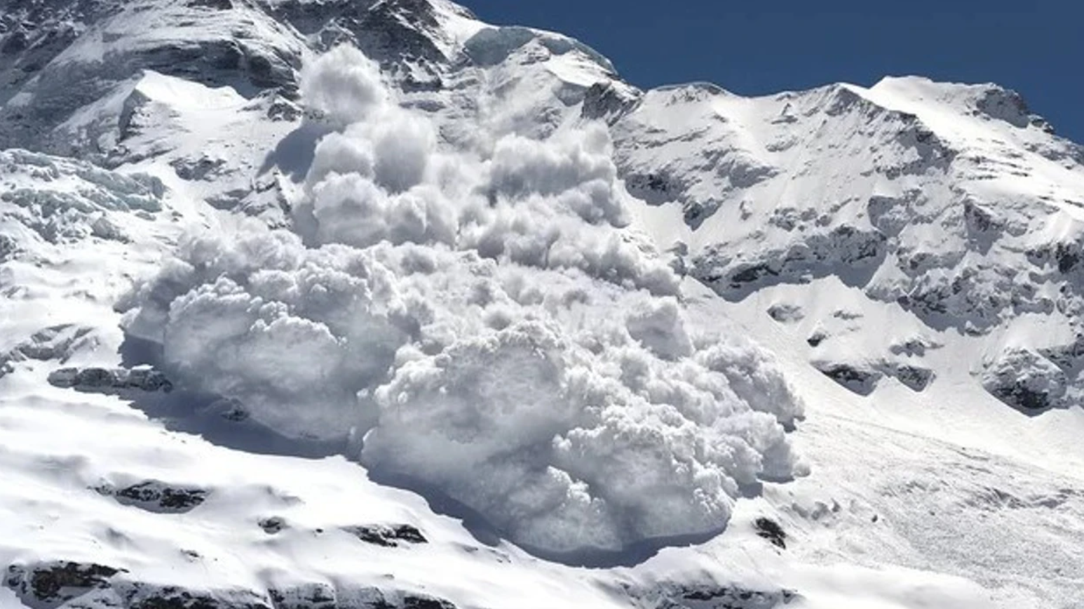 Numri i viktimave nga ortekët në Austri shkon në pesë