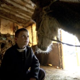 Filmi “La Beauté de l’Âne” shfaqet në Bernë në kuadër të javës së Frankofonisë
