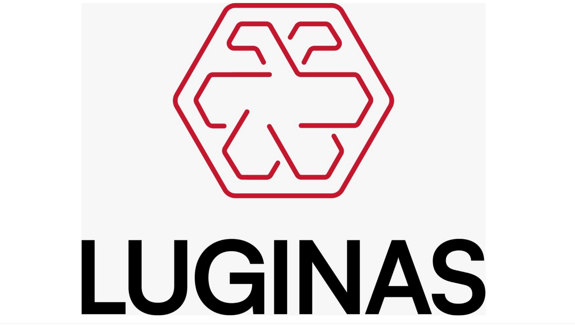 Ndërmjet Washingtonit  Strasburgut dhe Zvicrës  LUGINAS po ndërton një model inovativ të organizimit për diasporën