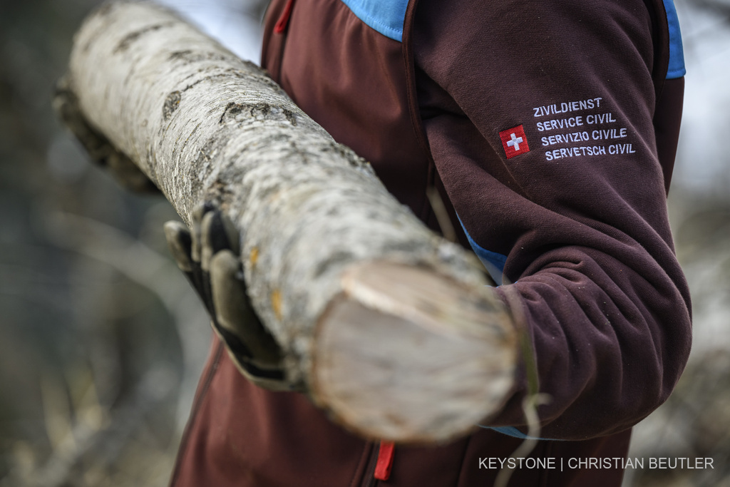 Tragjedi në Ticino  50 vjeçari humb jetën në aksident gjatë punës në pyll
