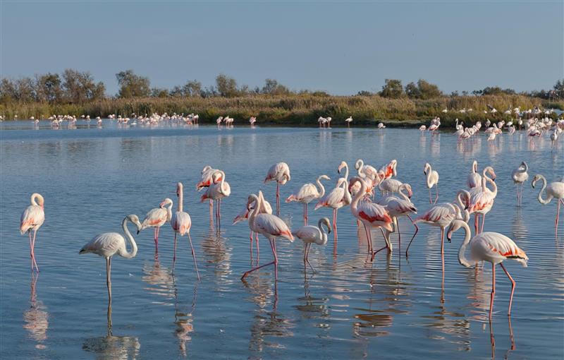 Arsyet përse Veriu i Shqipërisë është destinacioni i ardhshëm elitar i Evropës