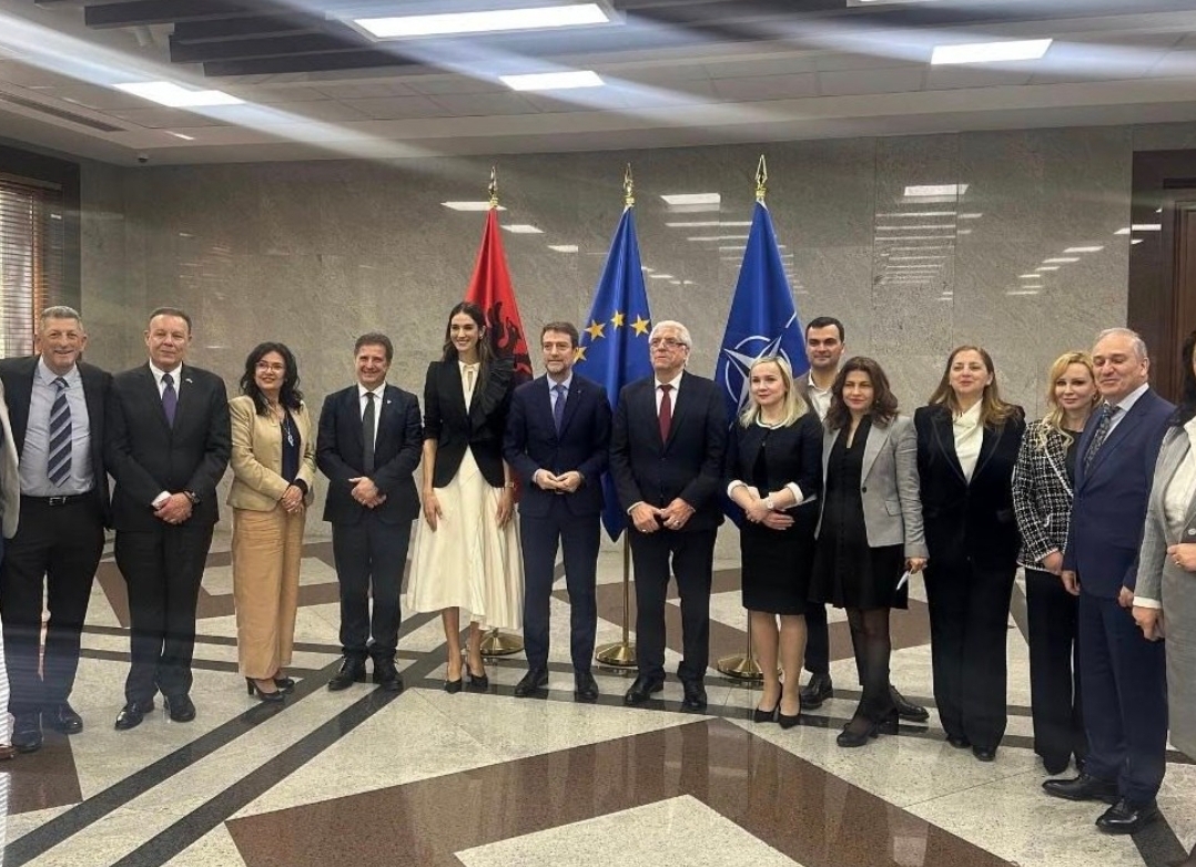 Diaspora hap kapitull të ri bashkëpunimi për  Shqipërinë 2030 