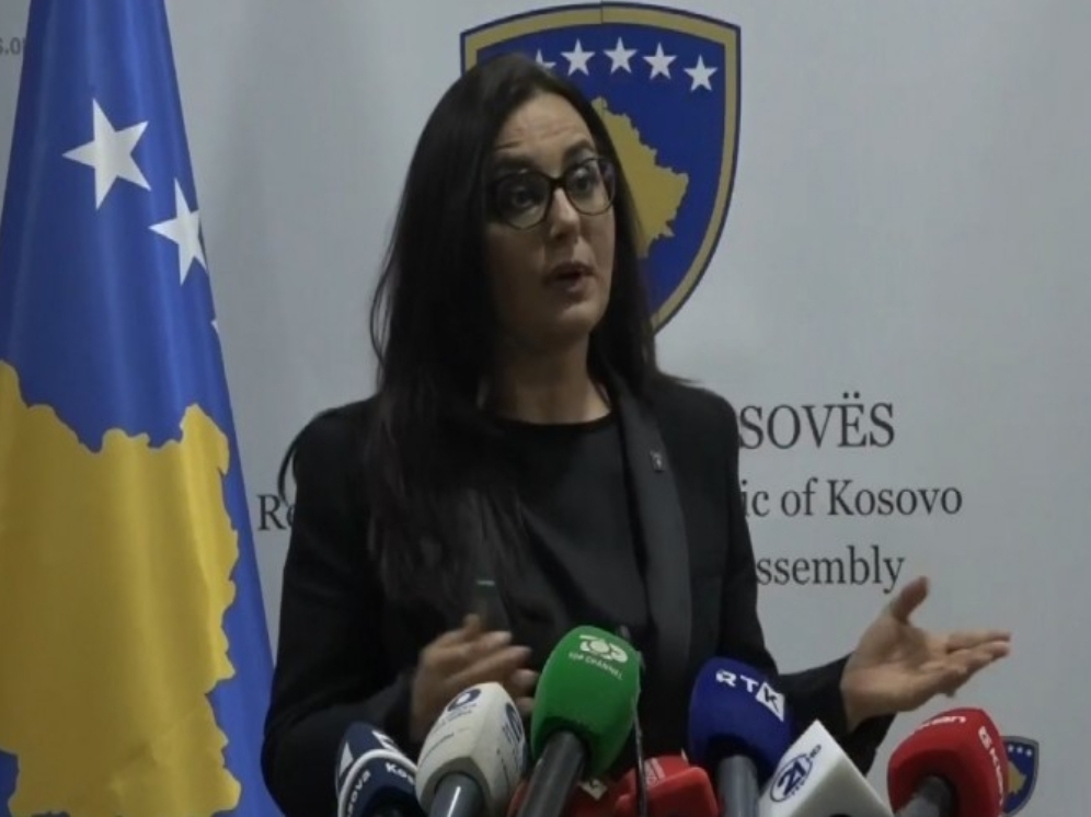 LDK i kundërpërgjigjet Kurtit  15 nënshkrime për kandidatin tonë  jo për skenar me kandidaturë të dytë