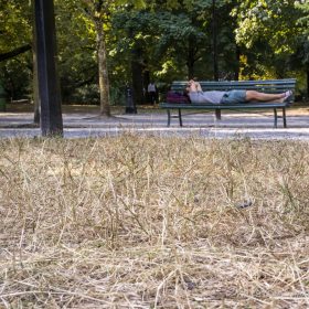 Temperaturat deri në 40 gradë Celsius kërcënojnë Zvicrën