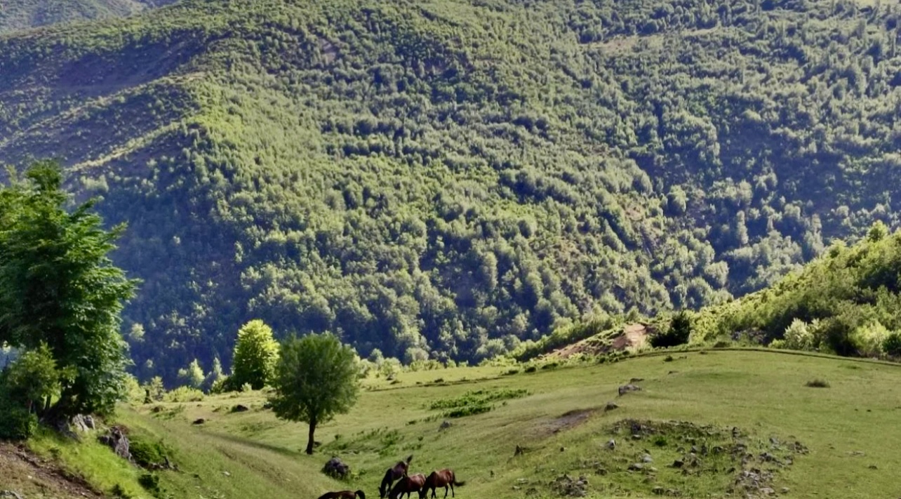 Dy turistë gjermanë zhduken në malin e Polisit  nisin kërkimet në Librazhd