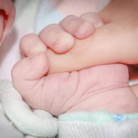 Peticioni zviceran me 110 mijë nënshkrime kërkon gjashtë muaj leje lindjeje
