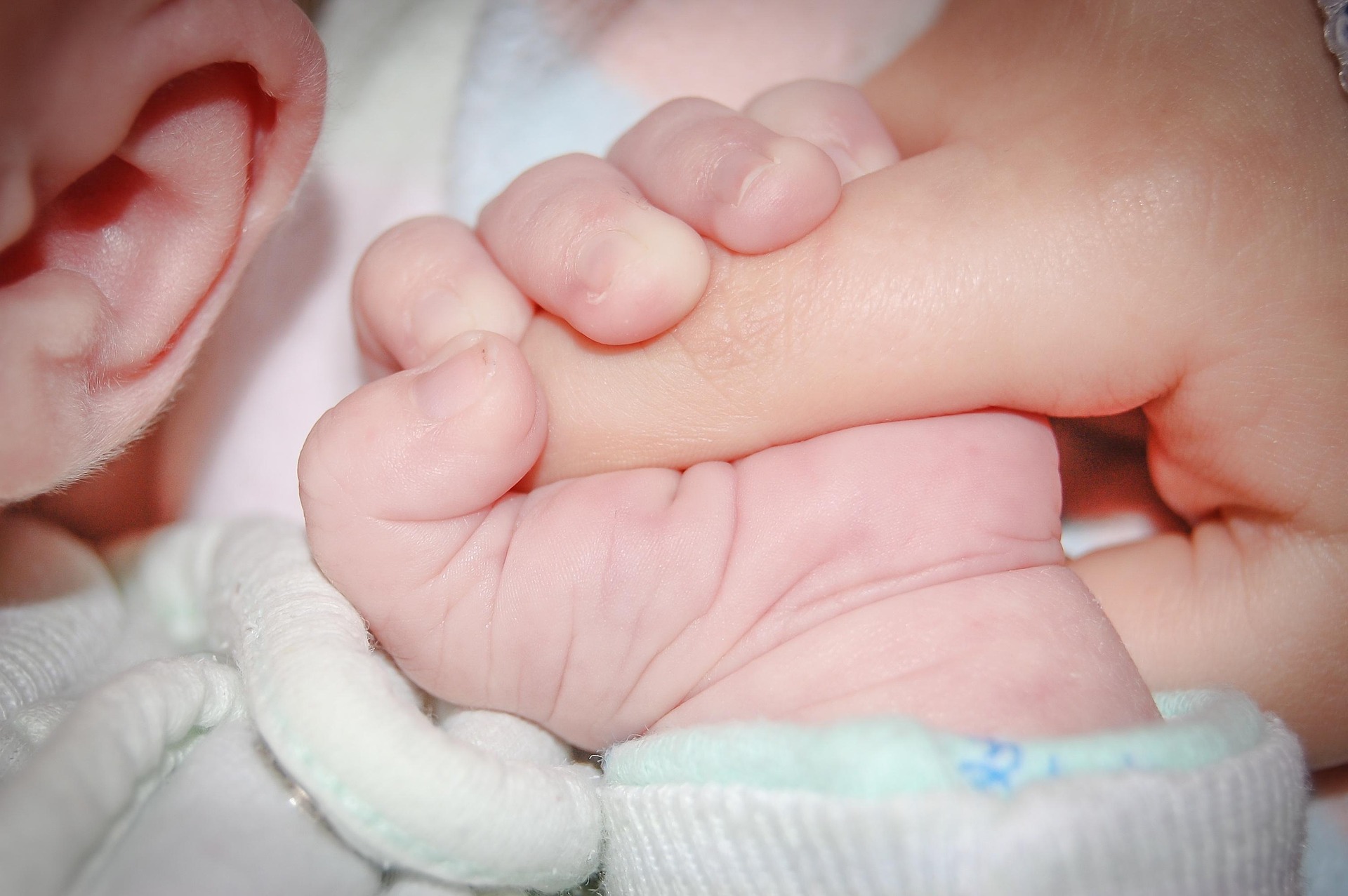Kriza e lindshmërisë në Evropë  çfarë tregoi eksperimenti 15 vjeçar i Hungarisë 