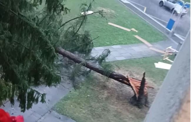 Stuhi të forta sjellin breshër dhe bubullima në Zvicër