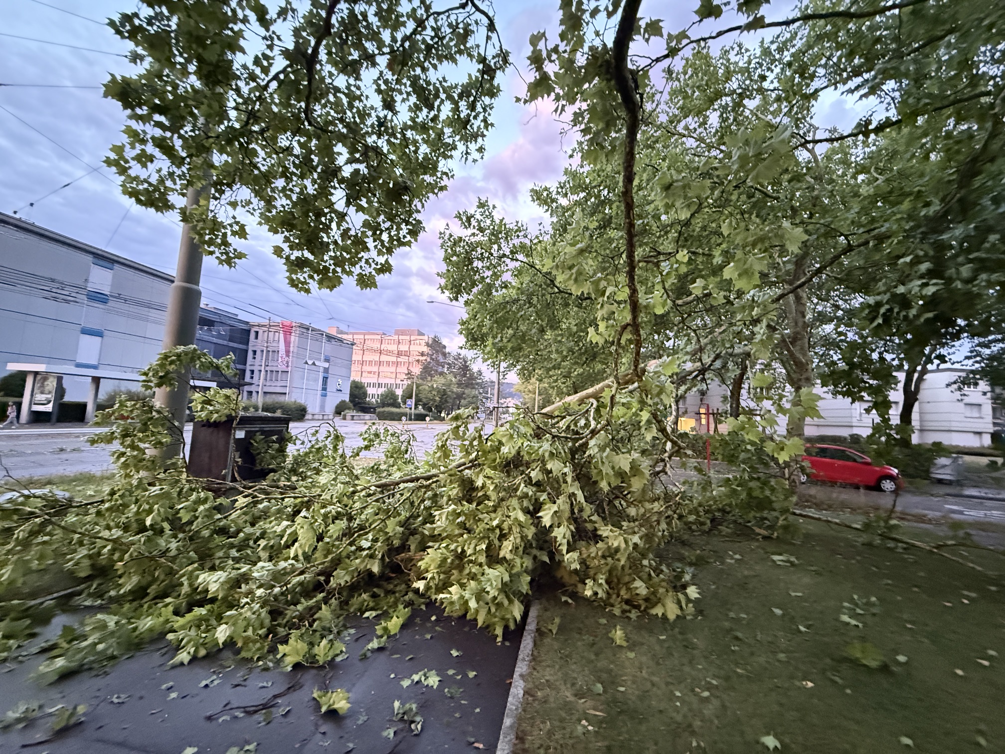 Stuhi e fortë godet Zvicrën Qendrore dhe Lindore: dëmtime në Cyrih dhe Winterthur
